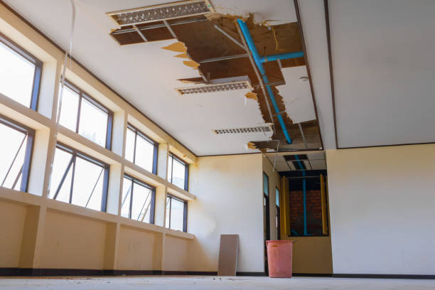 Best Water damage restoration company  in Maybrook, NY