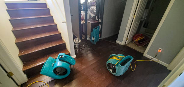 Best Flooded house restoration  in Maybrook, NY
