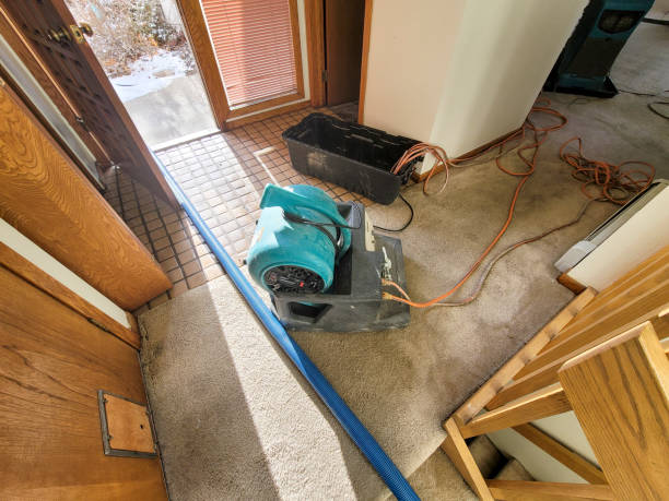 Best Water damage restoration process  in Maybrook, NY