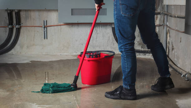 Best Professional water damage repair  in Maybrook, NY