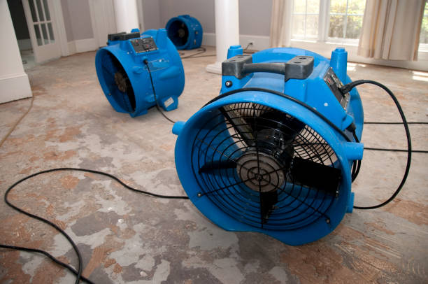 Best 24-hour water damage restoration  in Maybrook, NY