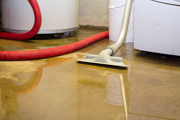 Best Carpet water damage restoration  in Maybrook, NY