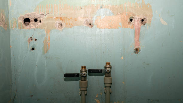 Best 24/7 water damage repair  in Maybrook, NY