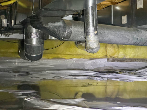 Best Basement water damage restoration  in Maybrook, NY